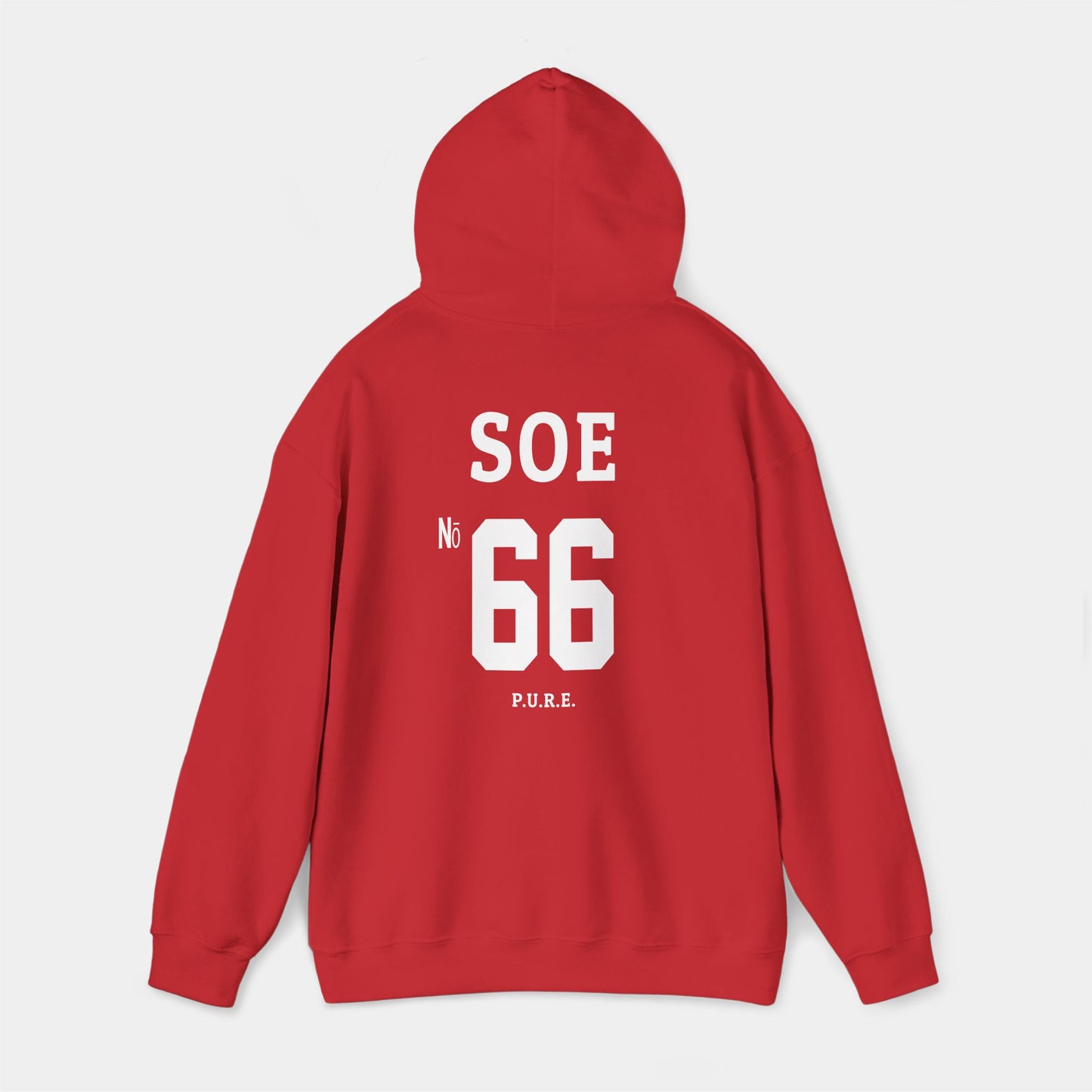Brayden Soe #66 Hoodie